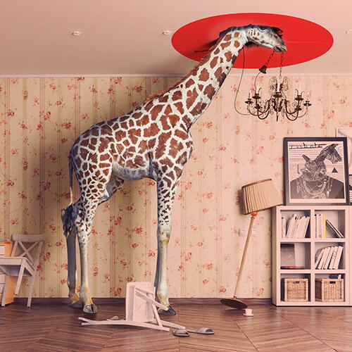 On s'adapte à tous les profils et tous les styles