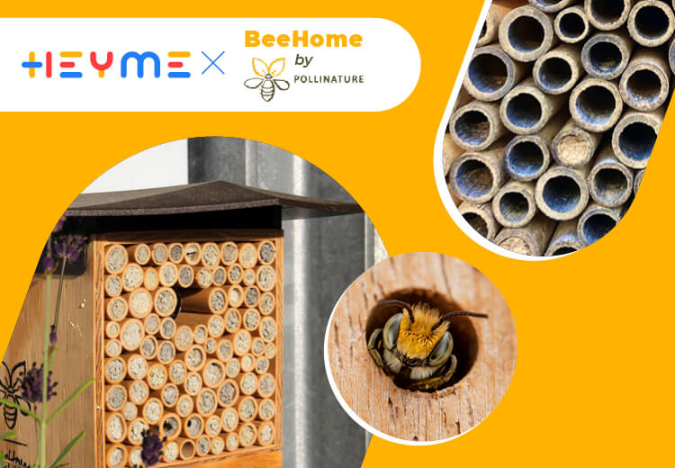 Des abeilles sur ton balcon, ça te tente ? - Heyme